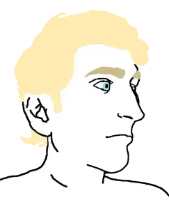 Без названия789_20241210193502.png