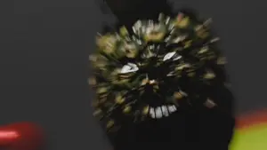 thefruitsalads.mp4