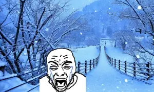 Rupturejak snow.jpeg