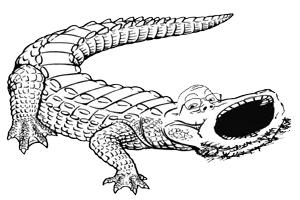 croc2.png
