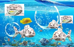 gapejak, babyjak, babyjak, animal, baby, caca, fish, frutiger aero, sea, water