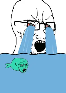 1650255465525.gif
