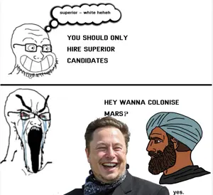 wojak, soyak, calarts, chad, elon musk, indian, mars, turban
