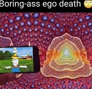 photo_2024-12-28_04-37-21.mp4