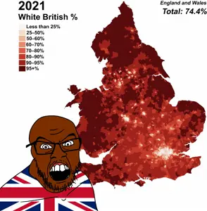 feraljak, brown skin, flag, glasses, statistics, stubble, text, united kingdom