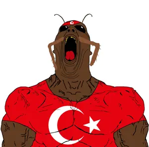Turkish Warrior.png