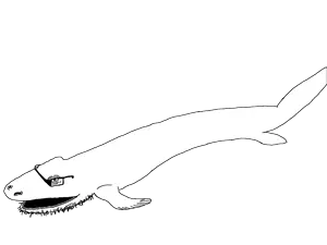 236 sin título_20250117161005.png