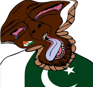 paki6.png