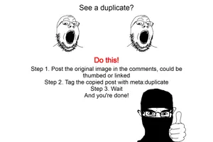 Duplicate Tutorial.jpg